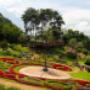 landscape maintenance gold coast