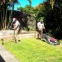 lawn mowing gold coast