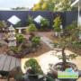 Lifestyle Solutions Centre