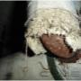 Uploaded by visitor on 23/6/2016 - Asbestos Register