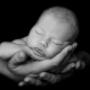 Vanessa Grace Photography