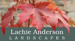Lachie Anderson Landscapes