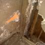 Termite Damage 1