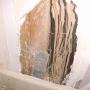 Termite Damage 2