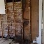 Termite Damage 3