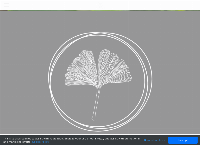 Circa Naturopathy's website
