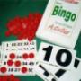 Senior Bingo - a specialist product