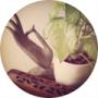 chinese medicine