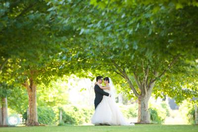 Swan-Valley-Perth-Wedding