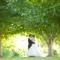 Swan-Valley-Perth-Wedding