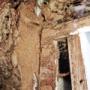 Termite Damage - Don't let this happen!