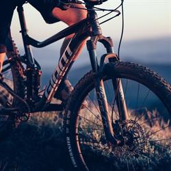 George's Bike Shop