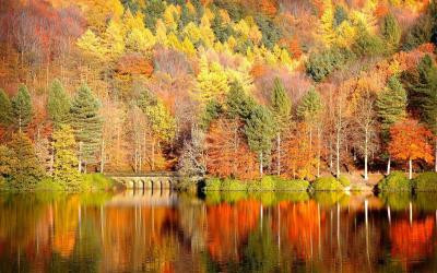 autumn