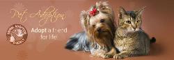 Animal Adoption Agency
