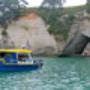 Boat Tour