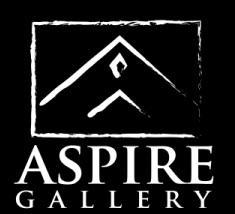 Aspire Gallery