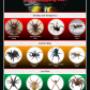 Spider Chart
