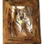 multi photo frames australia