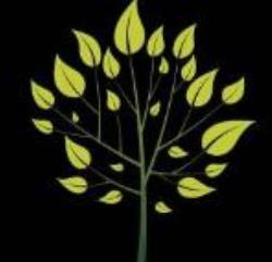 Spencer Garden Design & Horticultural Services