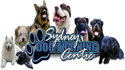 Sydney Dog Training Centre