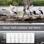Motivated Calendars
