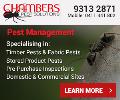 Pest Control In A Business Premises