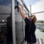 best window cleaners bentleigh