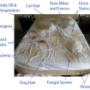 Spotless Cleaning Solutions