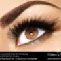 Uploaded by visitor on 24/8/2016 - Eyebrow Tattoo Adelaide - Medicine of Cosmetics
