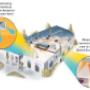 Refrigerated air conditioning