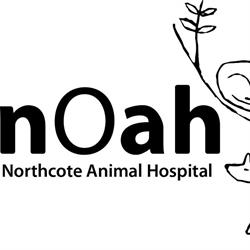Northcote Animal Hospital (nOah)