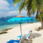 Travel Insurance