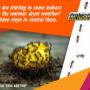 Ant Control
