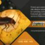 Cockroach Control Melbourne