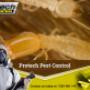 Termite Control