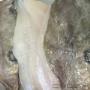 Uploaded by visitor on 25/10/2016 - Fresh John Dory Fillets