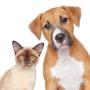 Kennel Bookings Online Pty Ltd
