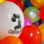 Clown Balloons Since 1988