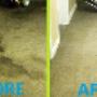 Carpet cleaning