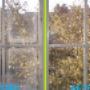 Window cleaning