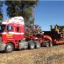Cranes Mount Gambier