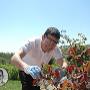 Gardening