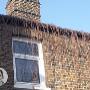 Gutter cleaning