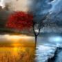 All seasons