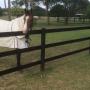 Black 3 Rail Horse Fence