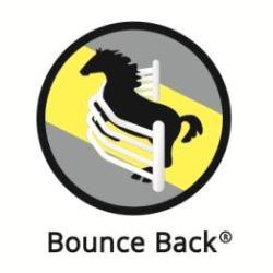 Bounce Back Horse Fencing