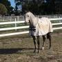 Uploaded by visitor on 25/5/2016 - Perfect for yards