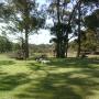 Enjoying the surroundings