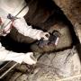 Confined space and asbestos certificates