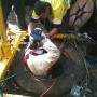 Underground Sewer Testing